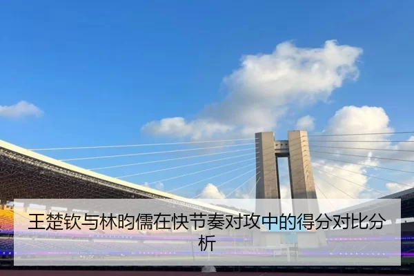 王楚钦与林昀儒在快节奏对攻中的得分对比分析